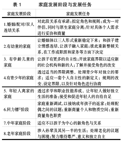 家庭社会工作实务的理论视野(5)_理论综合