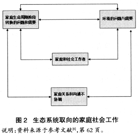 家庭社会工作实务的理论视野(8)_理论综合