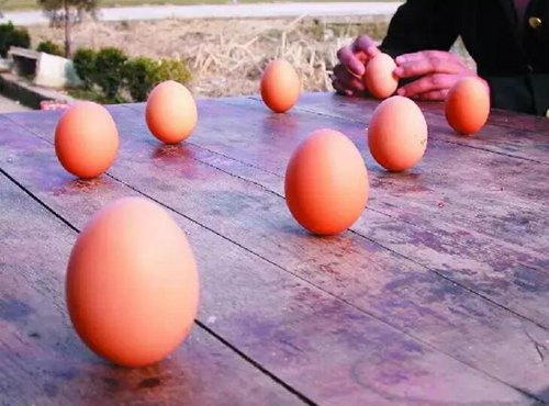 秋雨梧桐叶落时 郁达夫王小波如何度过秋分时节
