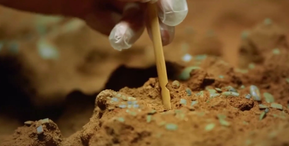 【理响中国·文化旗帜】守护好中华民族的文化瑰宝