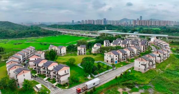 【理响中国·一线探新】海阔风正好扬帆,广州“百千万工程”行在前 1