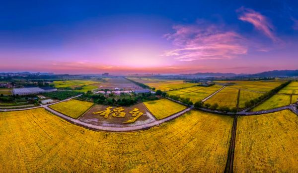 【理响中国·一线探新】海阔风正好扬帆,广州“百千万工程”行在前 4