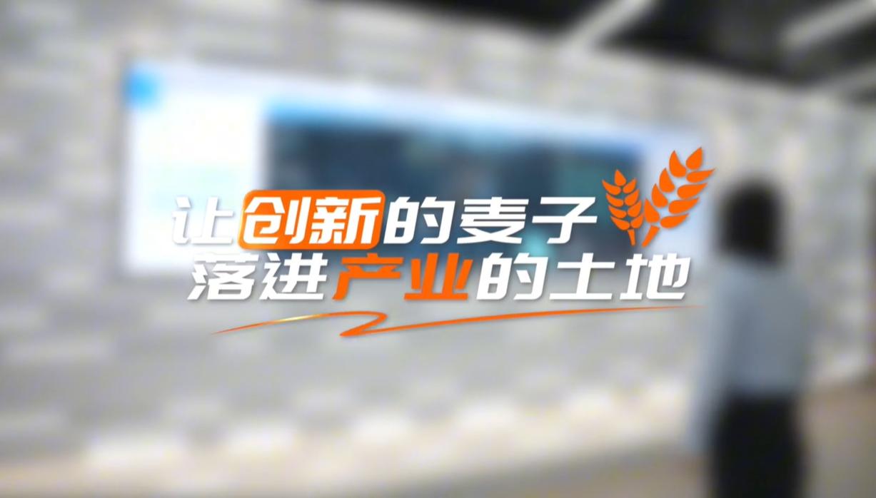 【理响中国·领航未来】让创新的麦子,落进产业的土地 【理响中国·领航未来】让创新的麦子,落进产业的土地