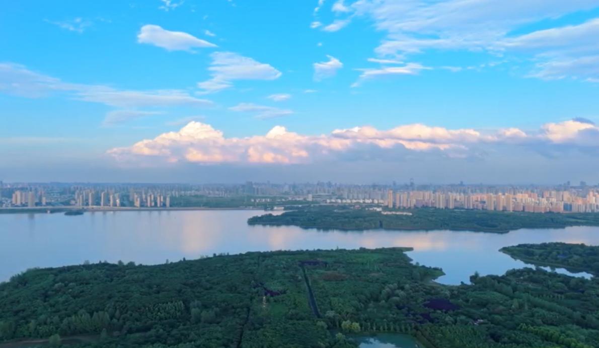 【理响中国·领航未来】向善而行：守牢科技发展安全线