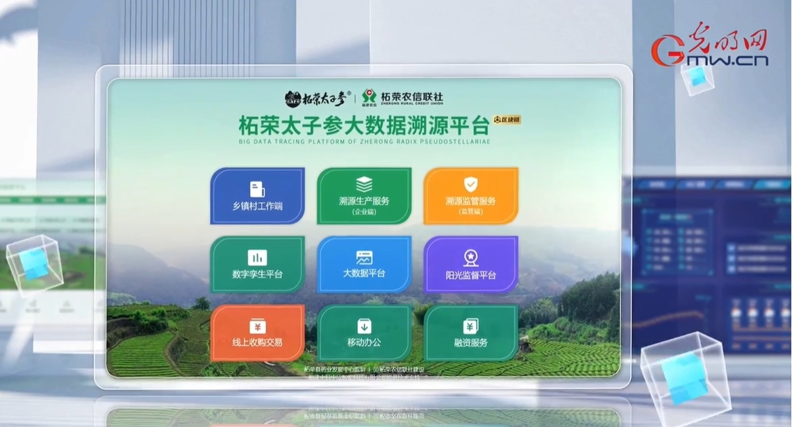 【理响中国·幸福有“理”】福地加“码”,种地也能“云”办公 【理响中国·幸福有“理”】福地加“码”,种地也能“云”办公