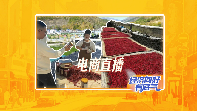 【理响中国·铿锵有理|经济向好有底气】破题！平台经济走出“成长烦恼”