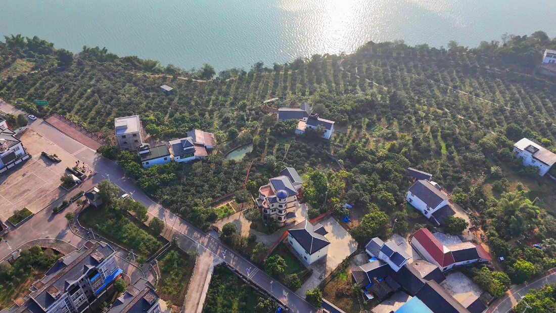 长江之畔的绿色回响——重庆涪陵睦和村的十年答卷